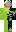 skin of a player