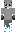 skin of a player