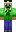 skin of a player