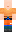 skin of a player