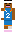 skin of a player