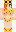 skin of a player