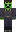 skin of a player