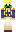 skin of a player