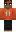skin of a player