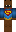 skin of a player