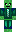 skin of a player