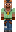 skin of a player