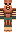 skin of a player