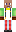 skin of a player