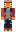 skin of a player