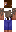 skin of a player