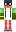 skin of a player