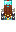 skin of a player