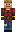 skin of a player