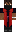 skin of a player