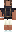 skin of a player