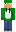 skin of a player