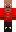 skin of a player