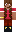 skin of a player