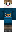 skin of a player