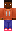 skin of a player
