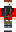 skin of a player