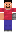 skin of a player
