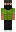 skin of a player