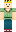 skin of a player
