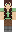 skin of a player