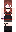 skin of a player