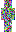skin of a player