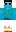 skin of a player