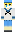 skin of a player
