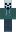 skin of a player