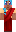 skin of a player