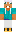 skin of a player