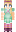 skin of a player
