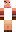 skin of a player