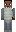 skin of a player