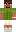 skin of a player