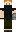 skin of a player