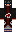 skin of a player