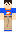 skin of a player