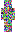 skin of a player