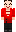 skin of a player