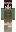 skin of a player