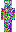 skin of a player