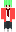 skin of a player